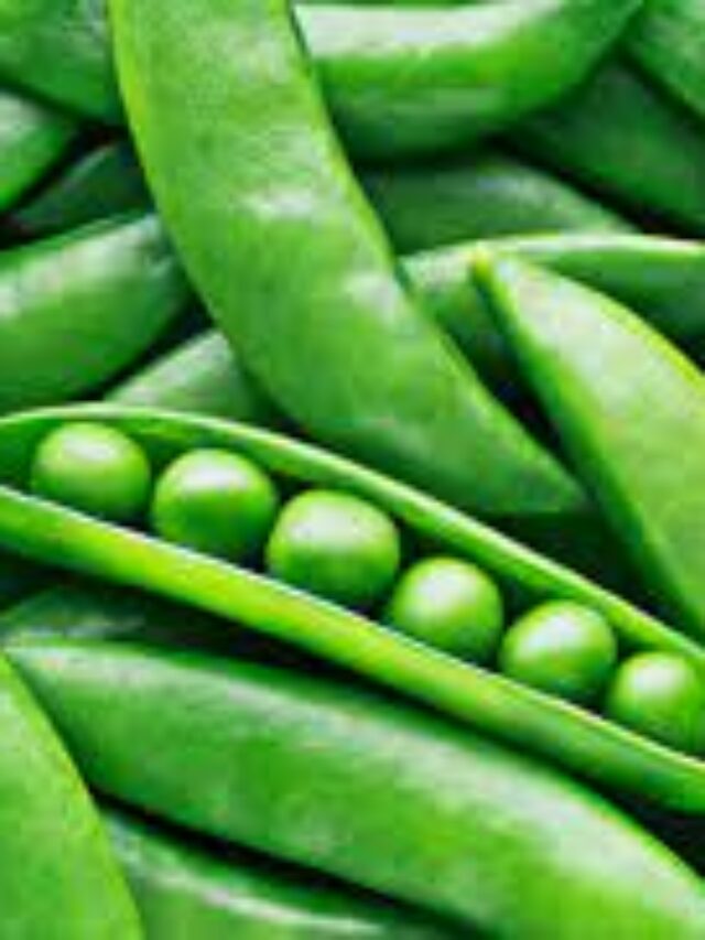 Advantages of Incorporating Green Peas into Your Diet